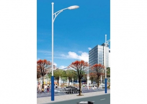 甘肅江西蜜桃视频APP成年人展示
